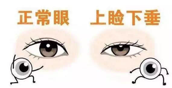 7840ad6c480cd72f5fec67837fc7288