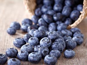 ��������˵�10��ʳ��