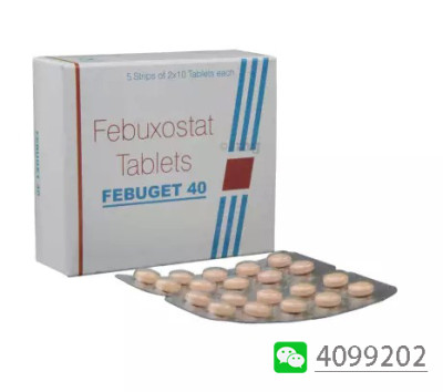 febuget 40 2j_.jpg